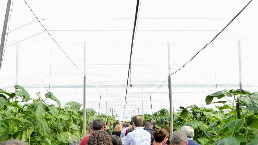 invernadero plástico|plastico anti-goteo|Naturplás 23|invernadero de plástico